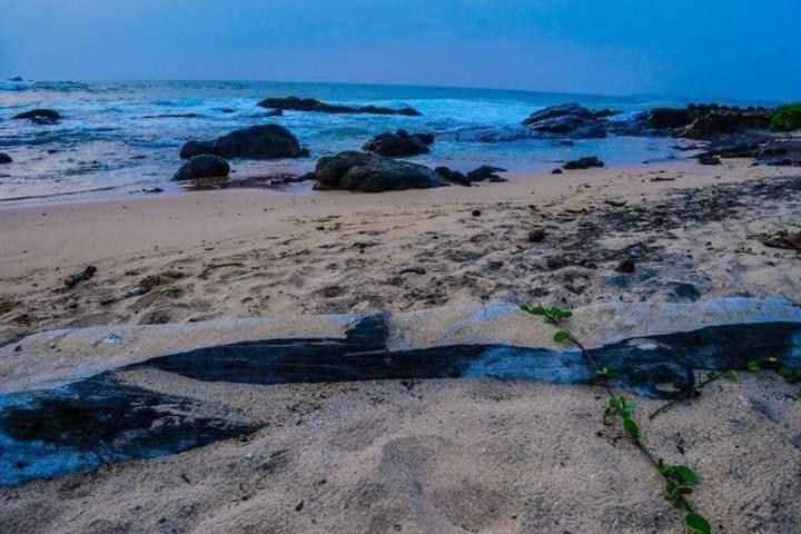 Sunset Cabana كالي المظهر الخارجي الصورة